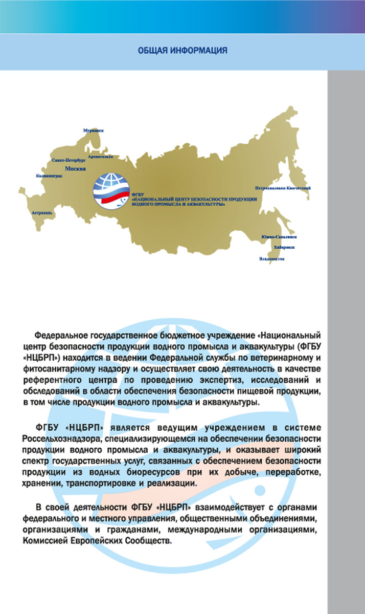 Дизайн брошюр