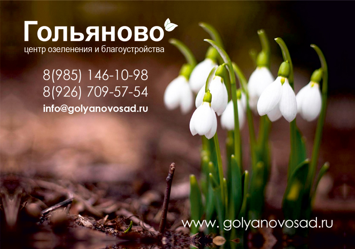 Дизайн календарей на заказ