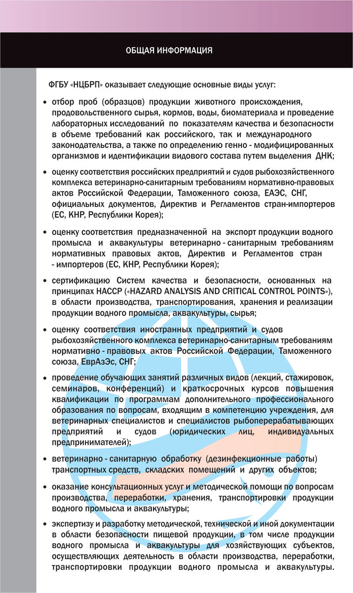 Разработка дизайна каталогов