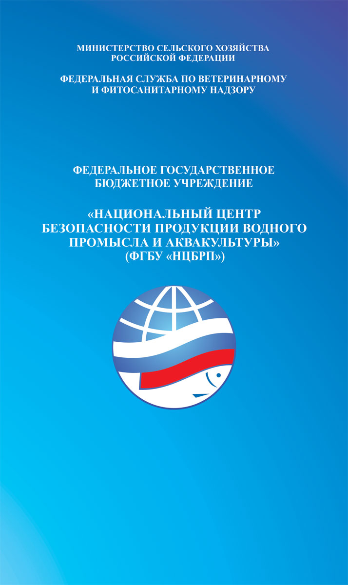 Дизайн журналов на заказ