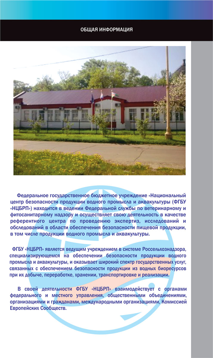 Разработка дизайна журналов